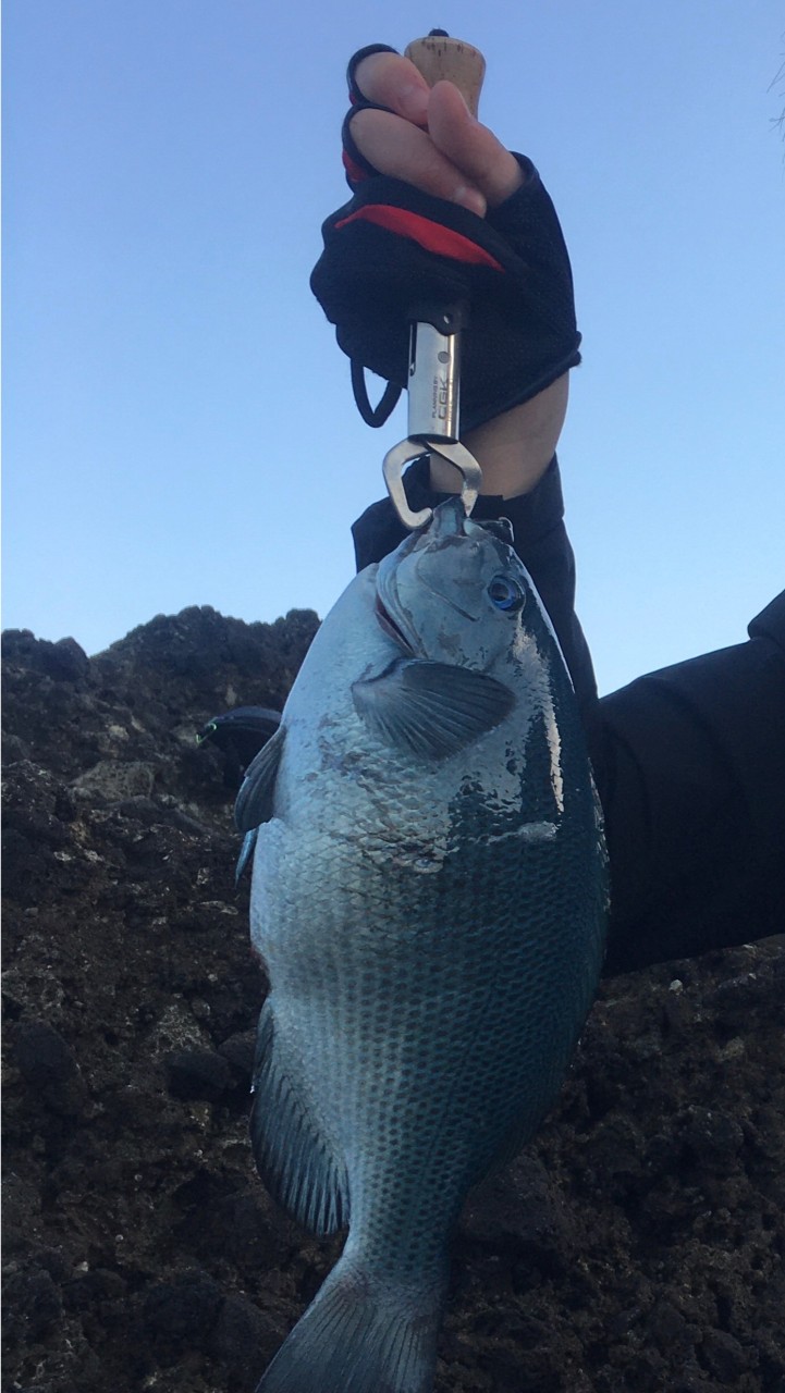 静岡 釣り好きの部屋