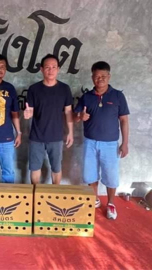 ซุ้ม.ผู้ใหญ่เถื่อน ณ โคราช ก๋อยสายต.สิงโต100%