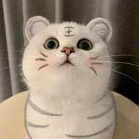 P2W - 大家庭