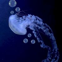 少人数でライト＆雑談ぱーてぃー