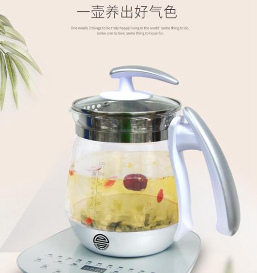 煮茶器 美國日本加拿110V養生壺出國專用新款多加功能煎藥壺花果茶保健壺