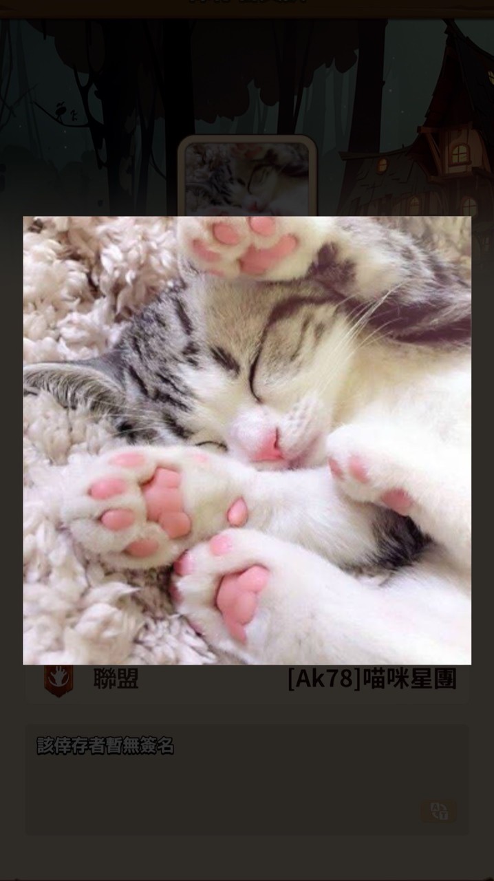 DW-喵咪星團🐱