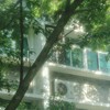 何十回だって＊全夢ハント