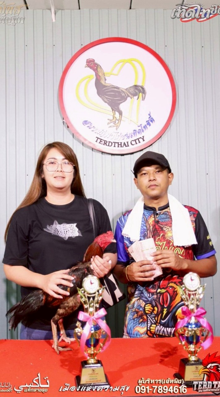 ไก่ตีหลังเมืองปรางค์