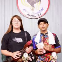ไก่ตีหลังเมืองปรางค์