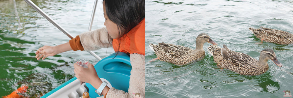 綠舞國際觀光飯店&綠舞日式主題園區Dancewoods Hotels & Resorts