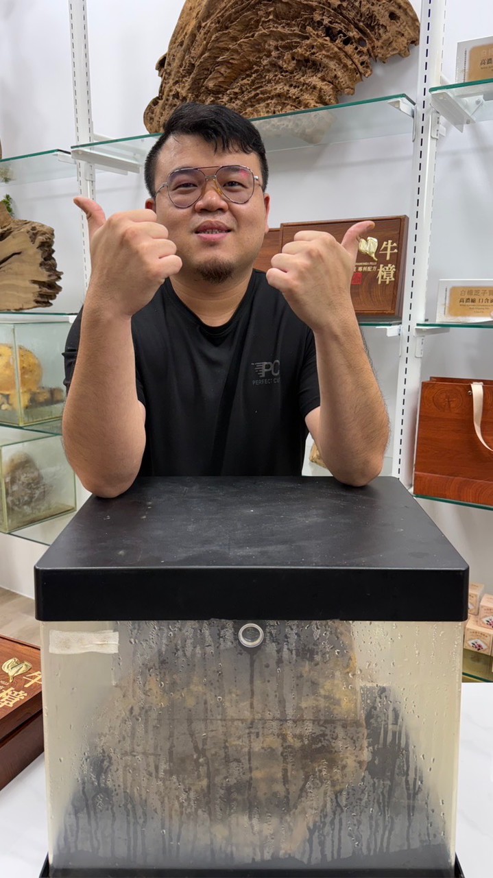 卡馬牛樟諮詢