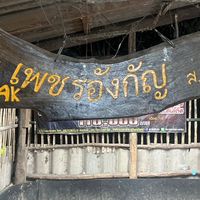 แหล่งเพาะพันธ์ไก่ชนสายพม่า ซุ้มไก่ชนเพชรอังกัญ