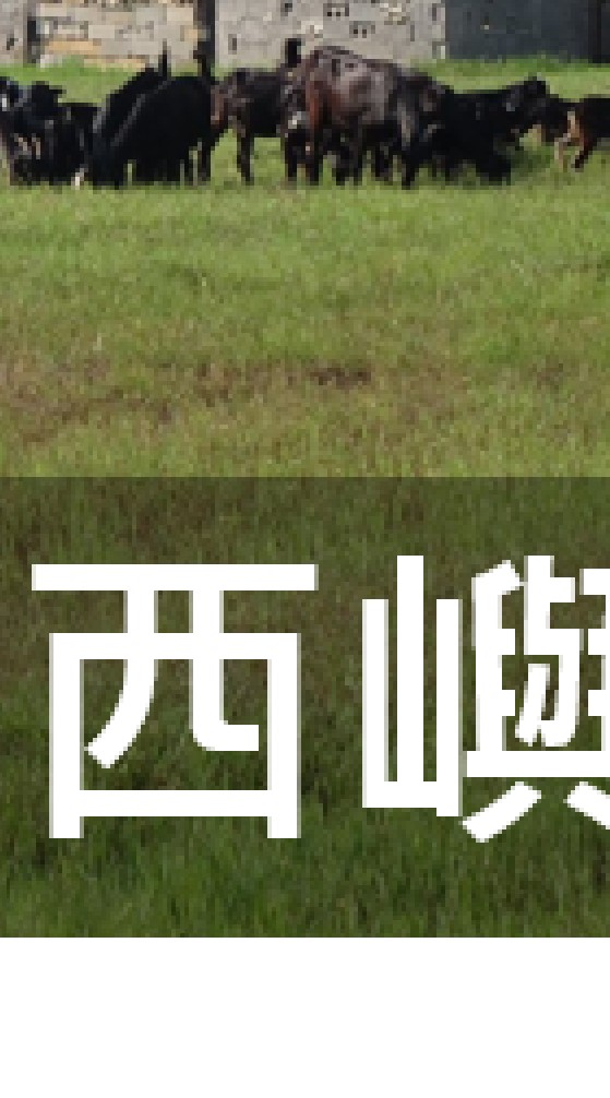我是西嶼人