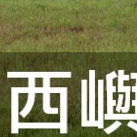 我是西嶼人