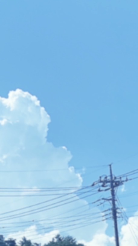 【クトゥルフ神話TRPG】猫背卓