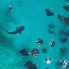 MALDIVES NANA AGENCY : SEA YOU