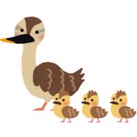 【かるがもクラブ🦆】子育てサロン【大阪市城東区/鶴見区/旭区】