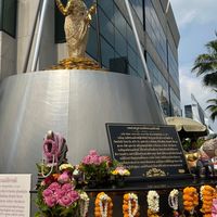 ออยหมี