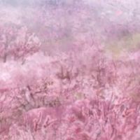 七嘴八舌