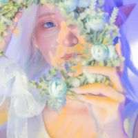 美麗的記事