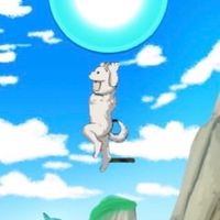 マジファイブロスタ研究所