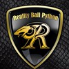 Reality Ball Python