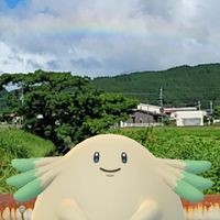 ポケモンGO宮崎(都城・三股)