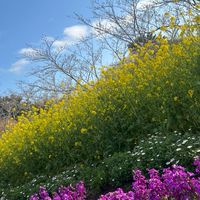 新しい学生さんどうぞ(彼女彼氏居ない居るは自由な部屋)➕美容努力等の部屋