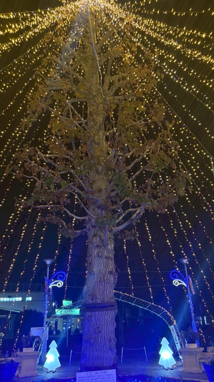 新しい学生さんどうぞ(彼女彼氏居ない居るは自由な部屋)➕美容努力等の部屋