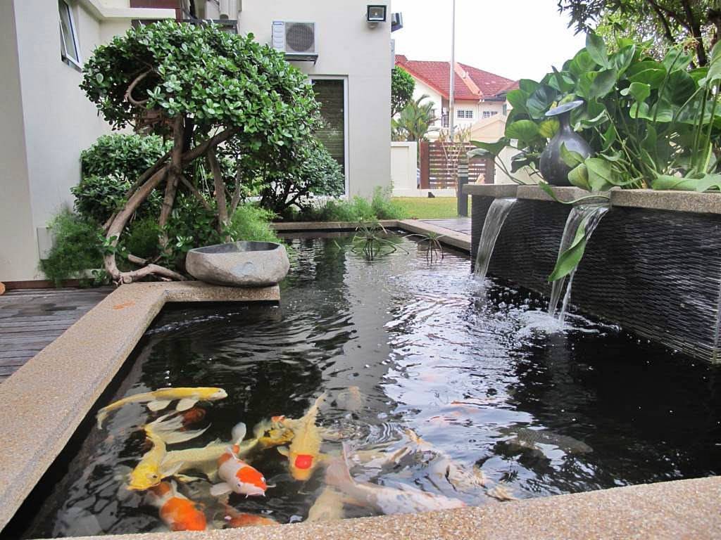 Kolam Ikan Koi Pake Lampu KOLAMA