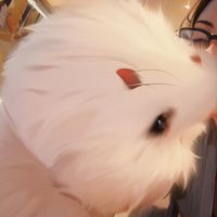 🐶萌犬美毛小孩部屋🐱