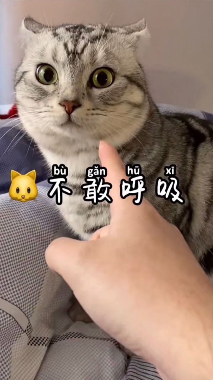 炫腹炫起來🤙🏻