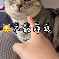 炫腹炫起來🤙🏻