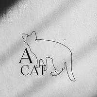 A_CAT喵寶們🐱