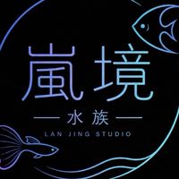嵐境水族𝖫𝖠𝖭 𝖩𝖨𝖭𝖦 𝖲𝖳𝖴𝖣𝖨𝖮