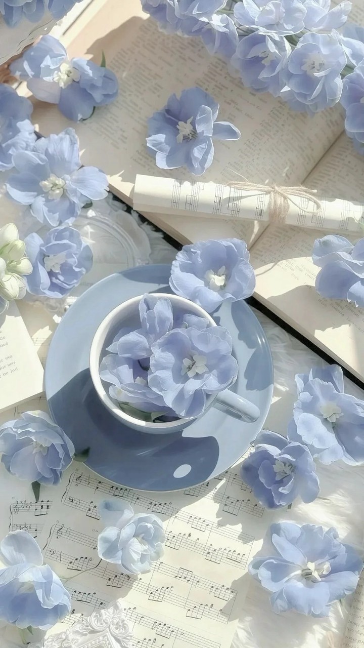 ❕ 𝐿𝑎𝑘𝑒 𝐼𝑛𝑡𝑒𝑙𝑙𝑖𝑔𝑒𝑛𝑐𝑒 𝐶𝑒𝑛𝑡𝑒𝑟 ✉️ 🤍