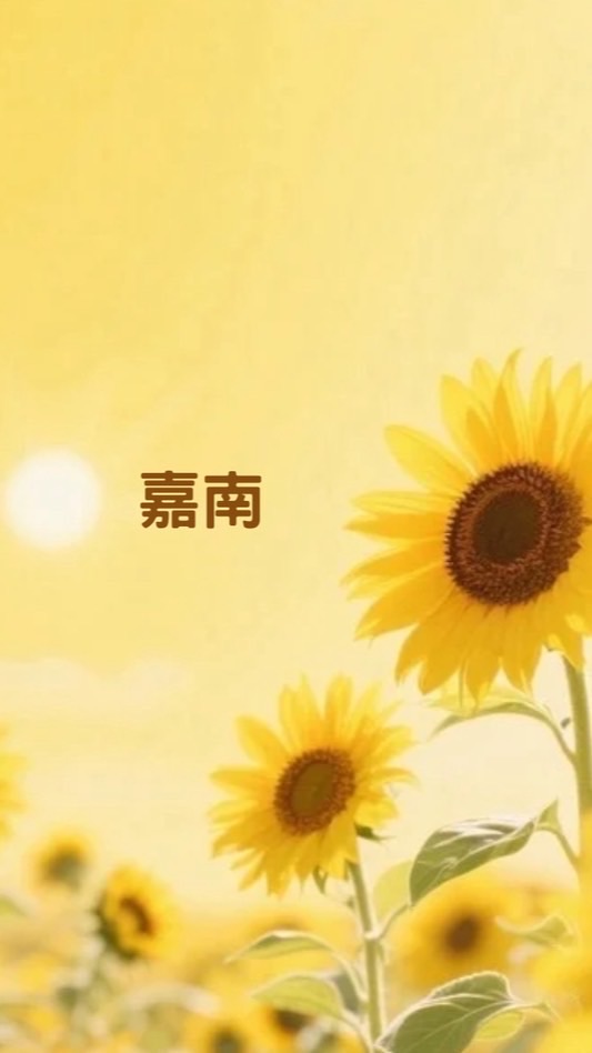 尋寶秘笈-嘉南