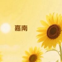尋寶秘笈-嘉南