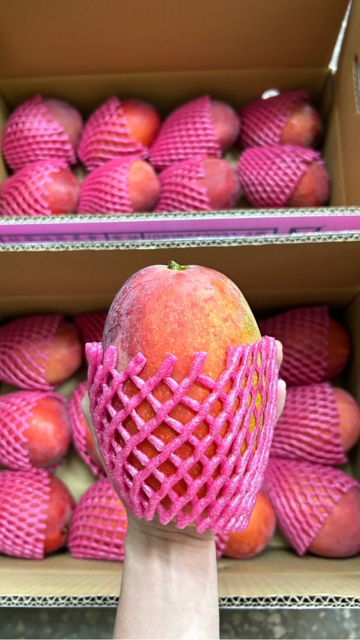 蔬菜🥬水果團購討論區🔥 🥭🍈🍌🍎🍍🍊🍓🍉