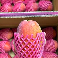 蔬菜🥬水果團購討論區🔥 🥭🍈🍌🍎🍍🍊🍓🍉
