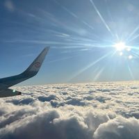 ꧁汪汪隊長伴你飛꧂旅程總部