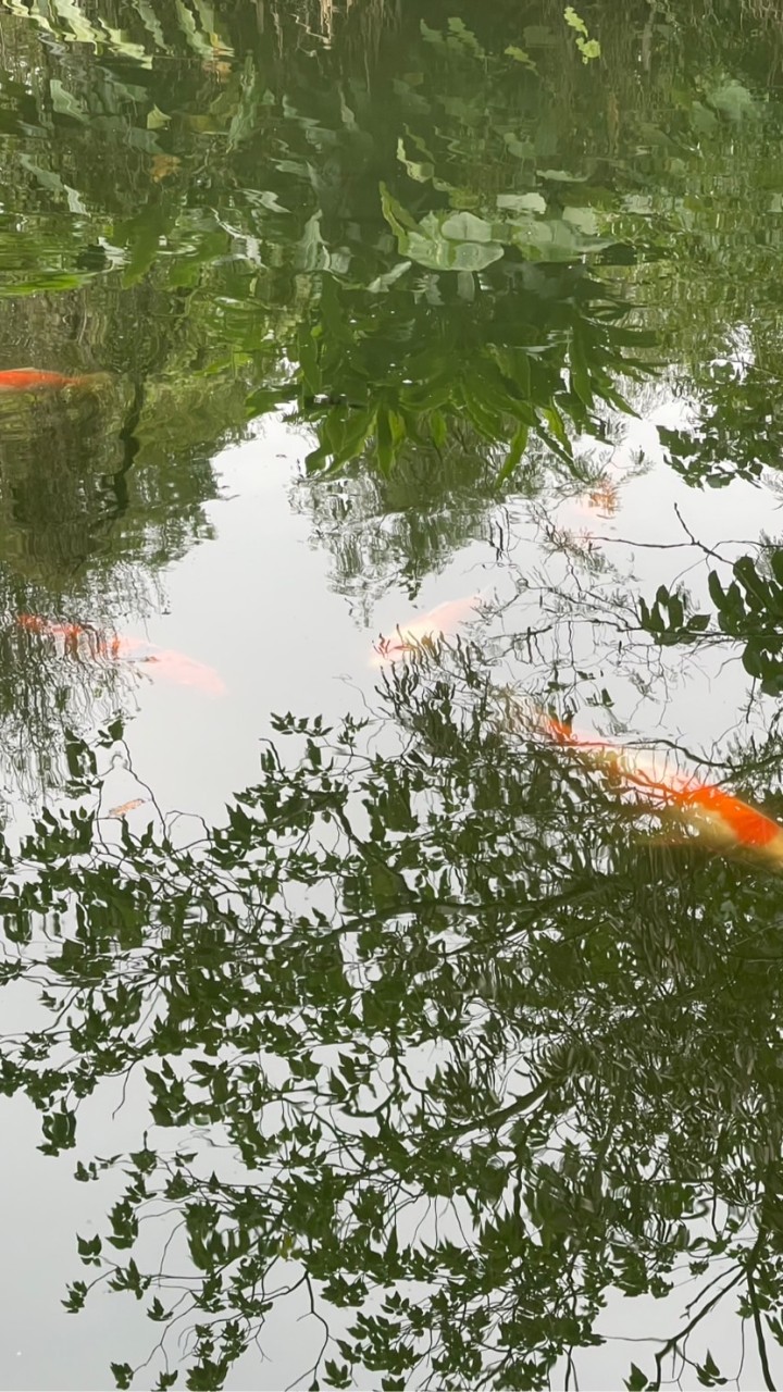 40+50翱翔天際開心聊