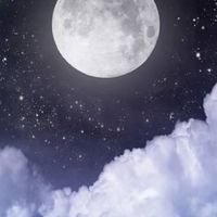 君は君。