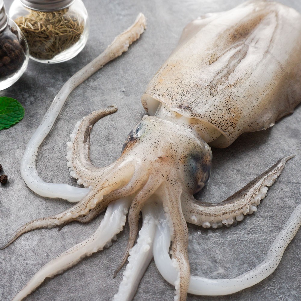 軟絲船上活體單體結凍，肉身漂亮完整、眼神明亮，由於是活體冷凍所以包裝內會有墨汁，上岸後為保持最佳鮮度立即以超低溫急速冷凍，保留了軟絲本身的味道及肉質的Q彈度，口感比透抽還脆。軟絲料理方式軟絲肉質Q彈有