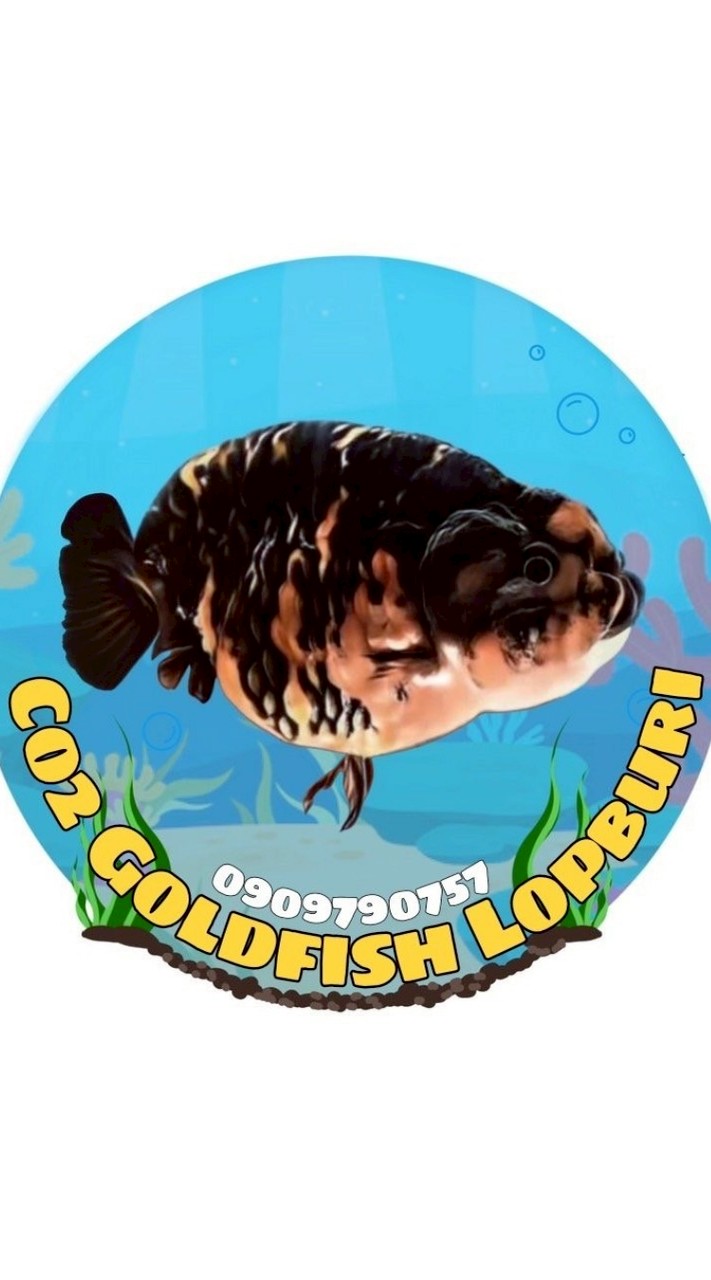 Co2Goldfish