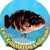 Co2Goldfish