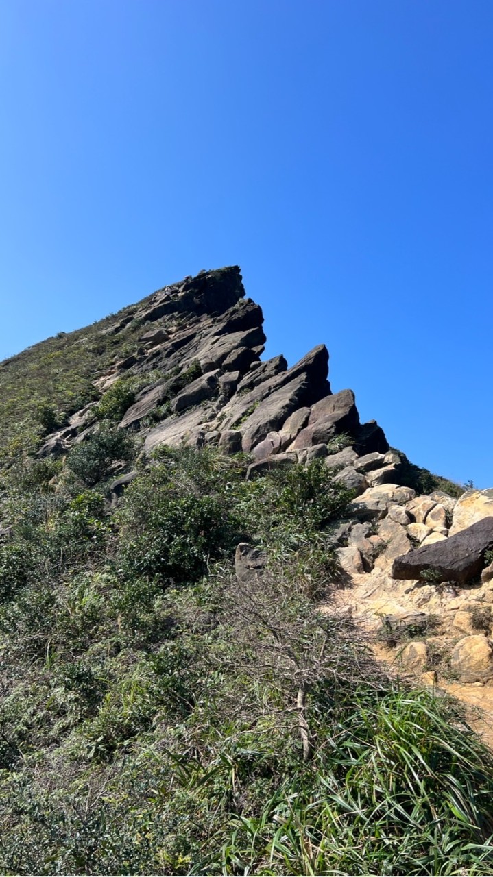 ⭐️臺北大縱走⭐️台北新北平假日一起來爬山⛰️