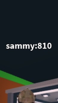 飛行機ですが何か