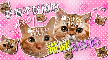 好看不好用的貓咪MEMO