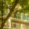 [RP] Twilight occult academy