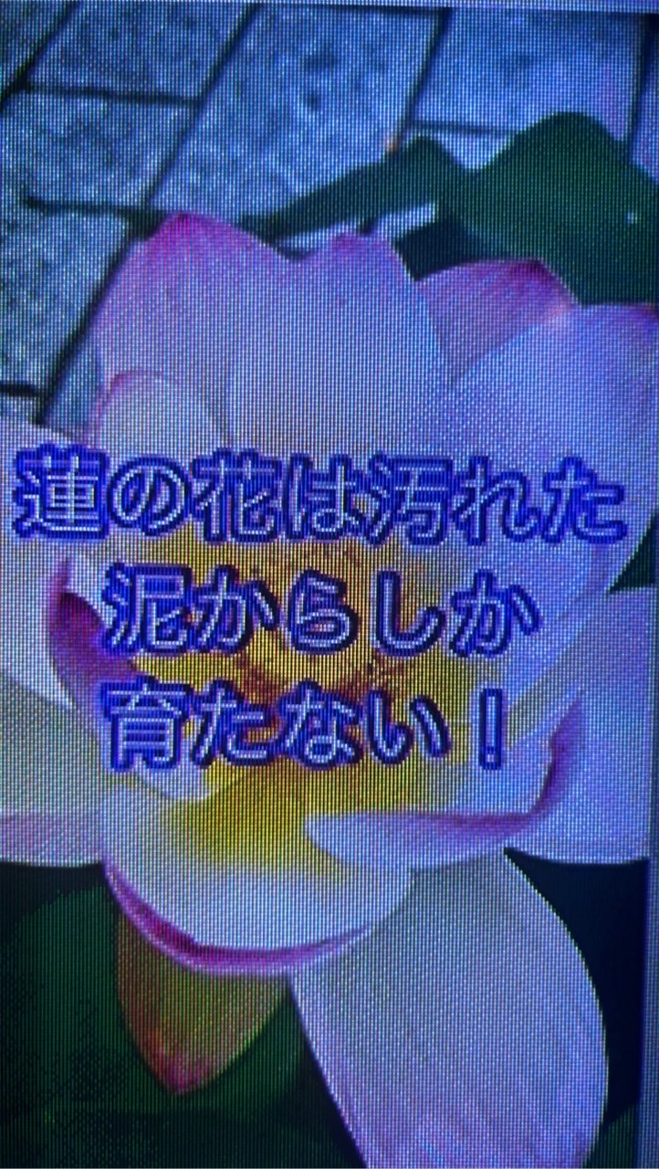 ファミの輪　悩みありませんか？話してみませんか？