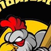 แนวทางไก่ชนเงินล้าน