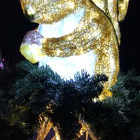新潟夜行性クラブ🌟