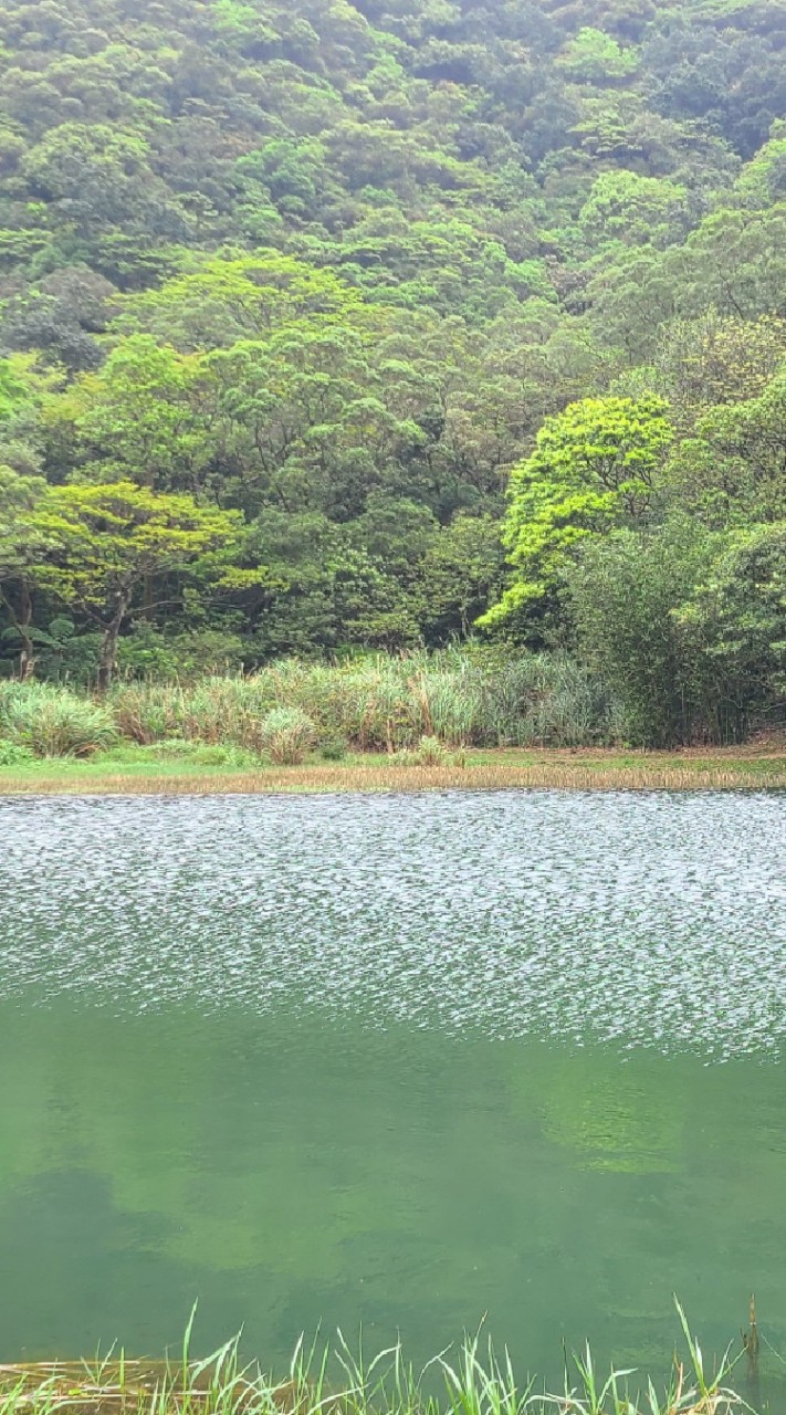 Taiwan台灣Travel旅遊